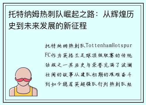 托特纳姆热刺队崛起之路：从辉煌历史到未来发展的新征程