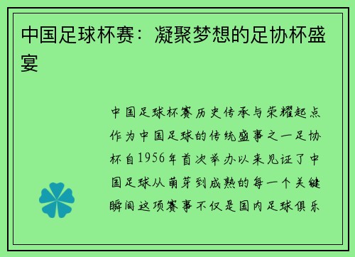 中国足球杯赛：凝聚梦想的足协杯盛宴