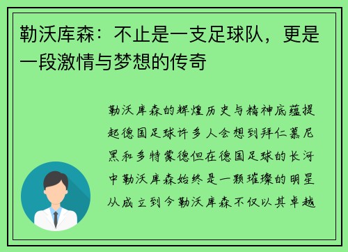 勒沃库森：不止是一支足球队，更是一段激情与梦想的传奇